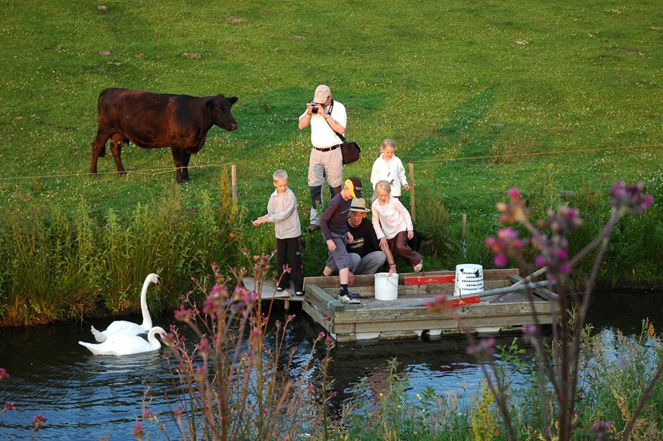 Sindal Camping - Natur